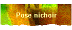 Pose nichoir